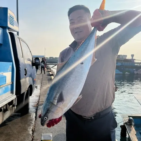 가장 저렴한 방어회 추천상품베스트5